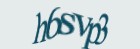 Включите картинки в браузере